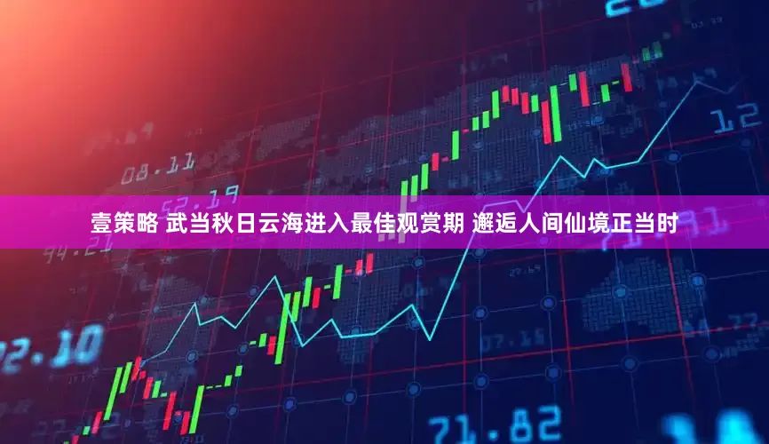壹策略 武当秋日云海进入最佳观赏期 邂逅人间仙境正当时